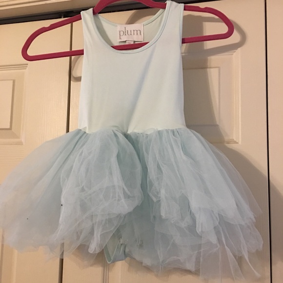 Other - Plum Girls Tutu